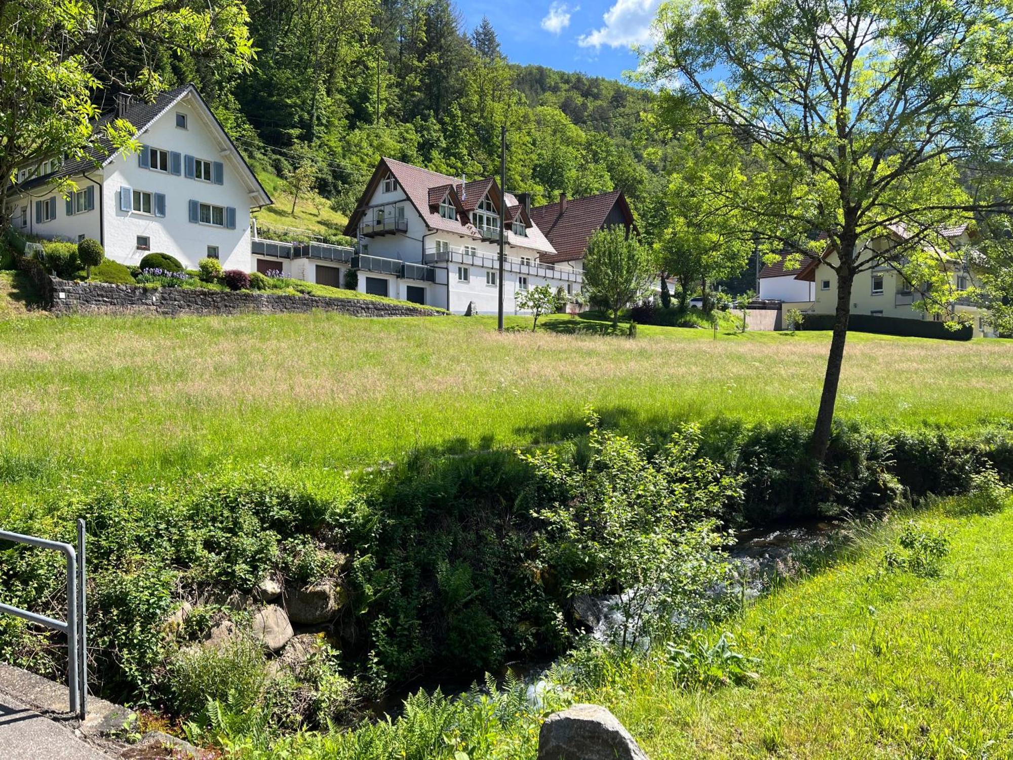 Ferienwohnung-blume Eg 2 Wolfach